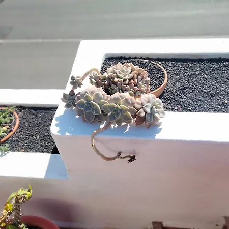 Casa Llamedos * Puerto del Carmen (Lanzarote)