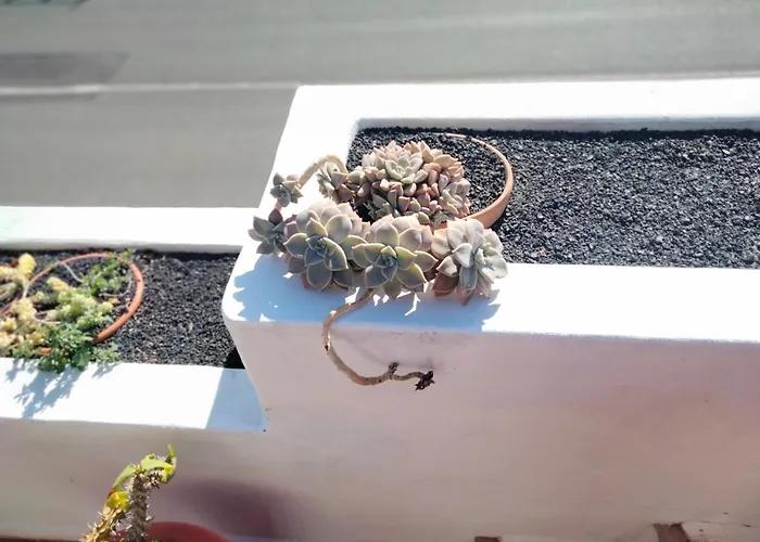 Casa Llamedos * Puerto del Carmen (Lanzarote)